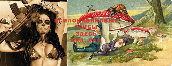 первитин Белоозёрский