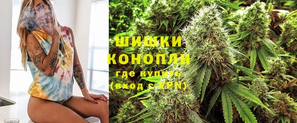 метадон Богородицк